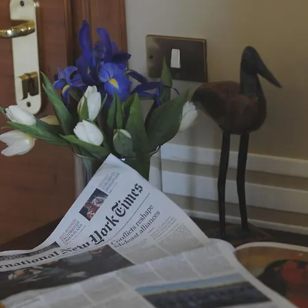 兰斯洛特酒店 3* 罗马